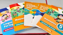 NOVOS MATERIAIS DIDÁTICOS