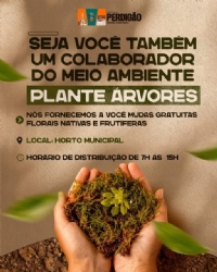 PLANTE ÁRVORES