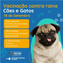 vacinação antirrábica