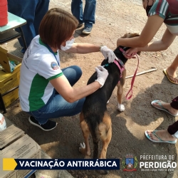 VACINAÇÃO ANTIRRÁBICA